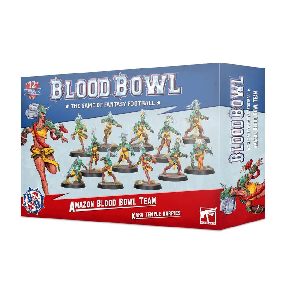 Amazon Blood Bowl Team - Kara Temple Harpies - Image 3