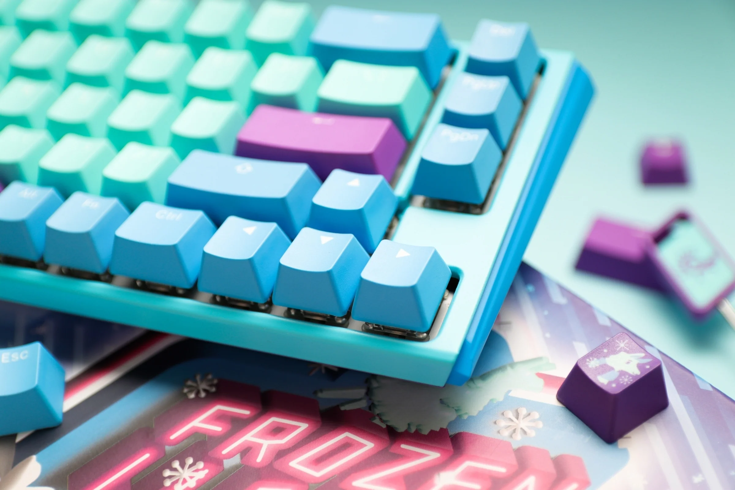 Ducky x MK One 3 SF Frozen Llama 65% Hotswap RGB Limited Edition Mechanical Keyboard - Image 13