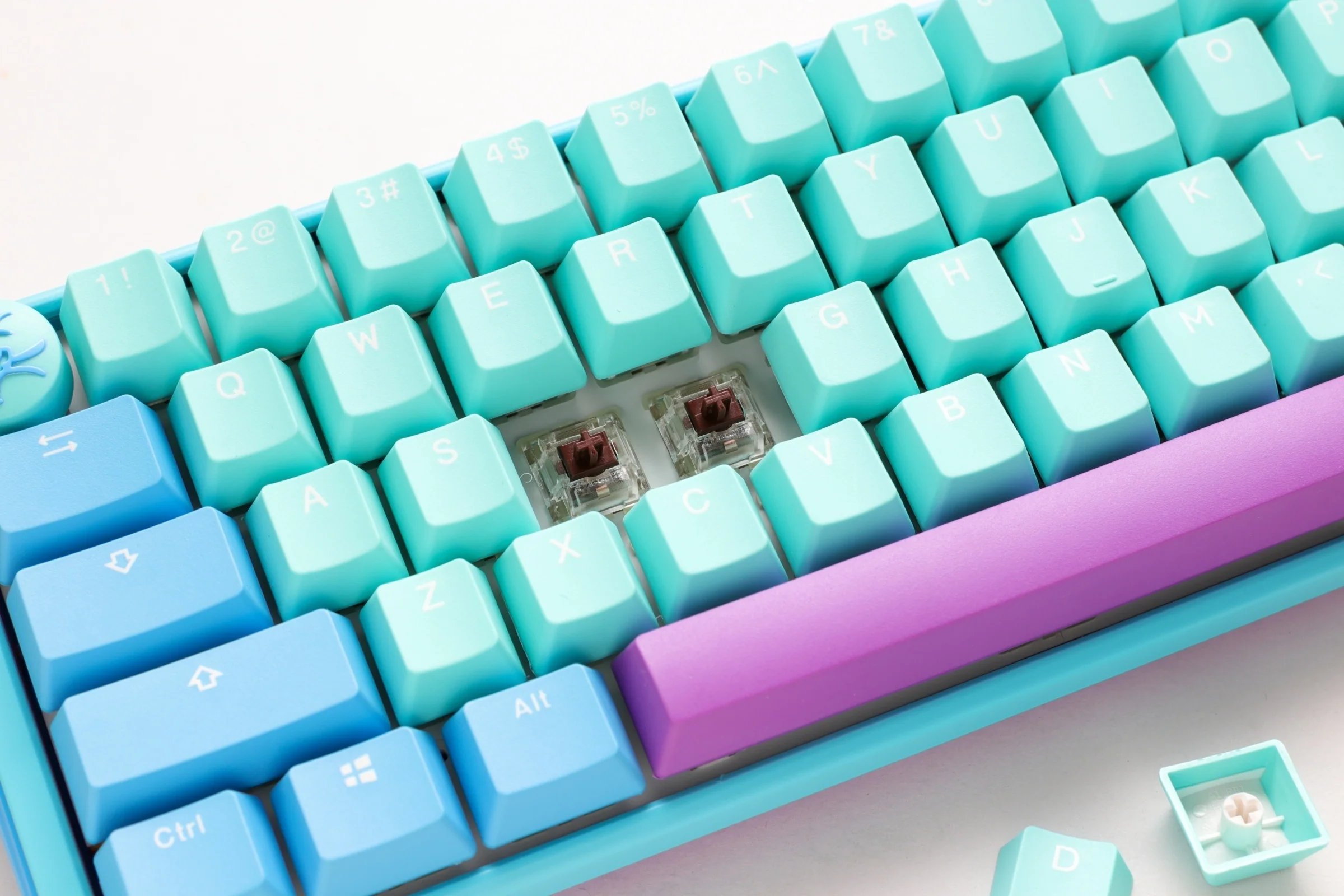 Ducky x MK One 3 SF Frozen Llama 65% Hotswap RGB Limited Edition Mechanical Keyboard - Image 8