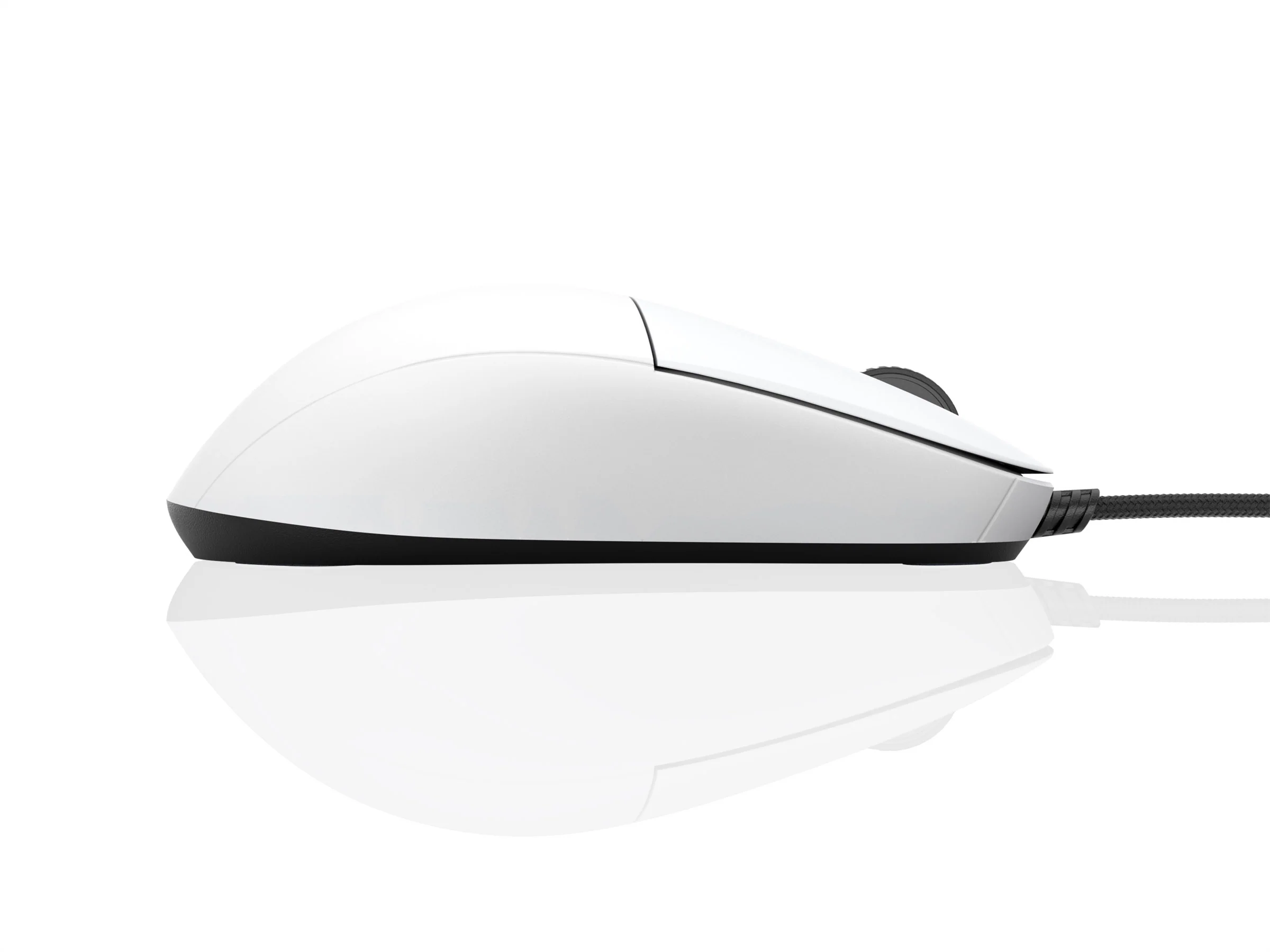 Endgame Gear XM1r Wired Mouse - Image 11