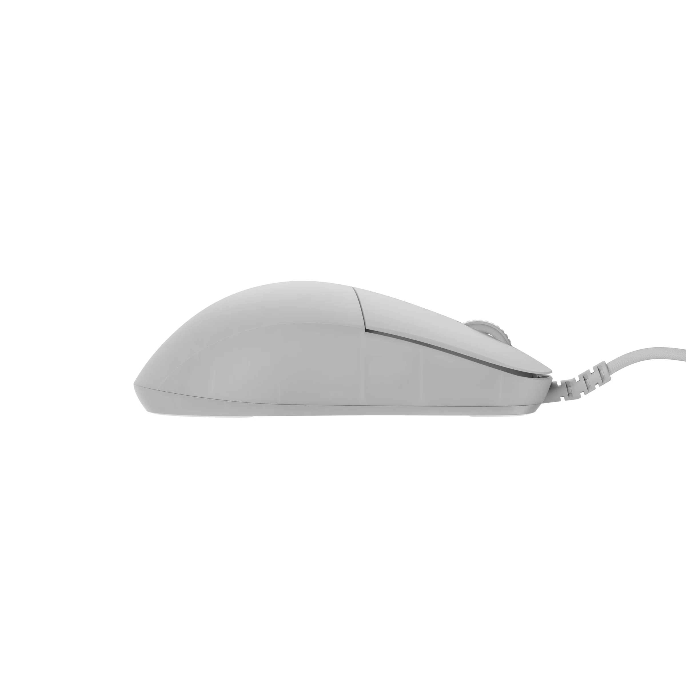 Endgame Gear XM2 8K Mouse - Image 33
