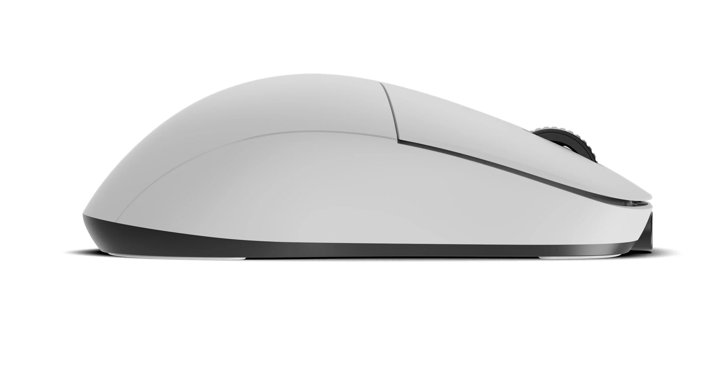 Endgame Gear XM2w 4K V2 Wireless Mouse - Image 22