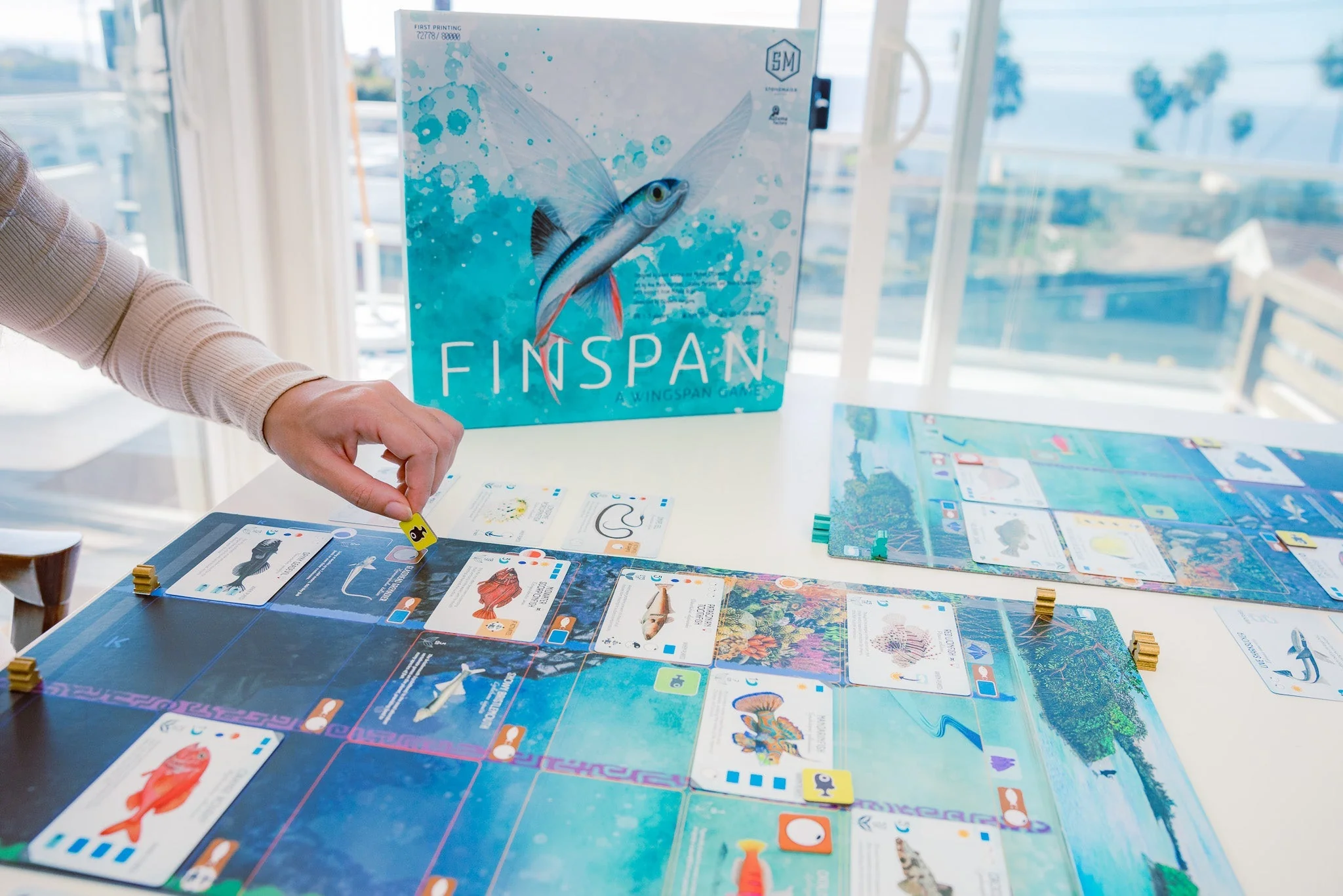 Finspan Board Game - Image 3