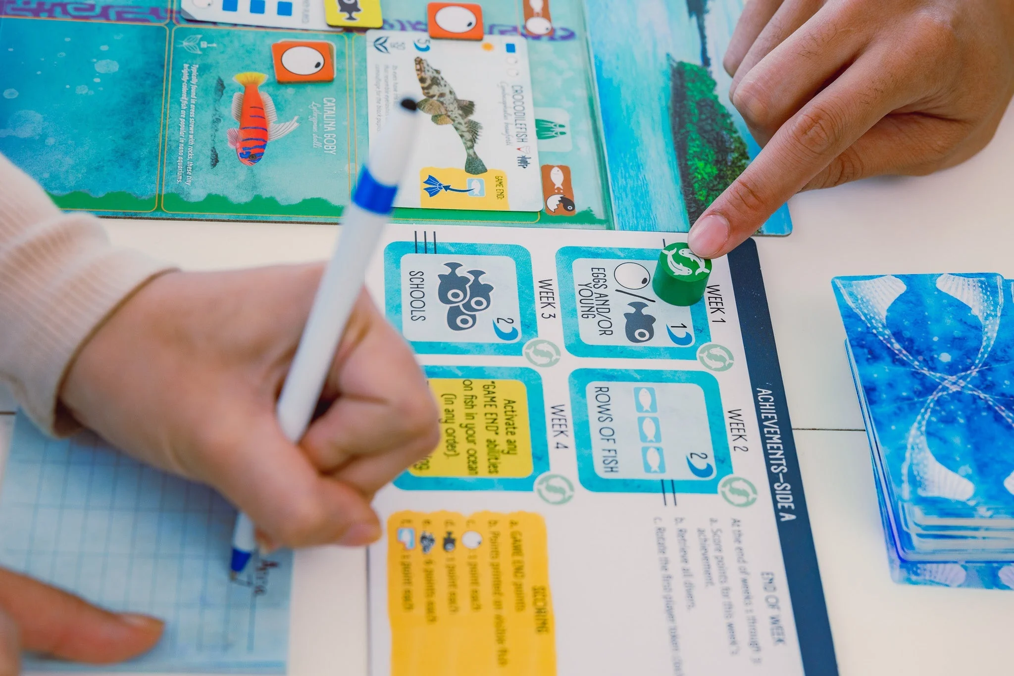 Finspan Board Game - Image 4