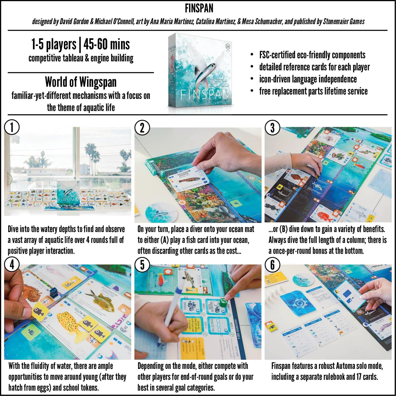 Finspan Board Game - Image 6