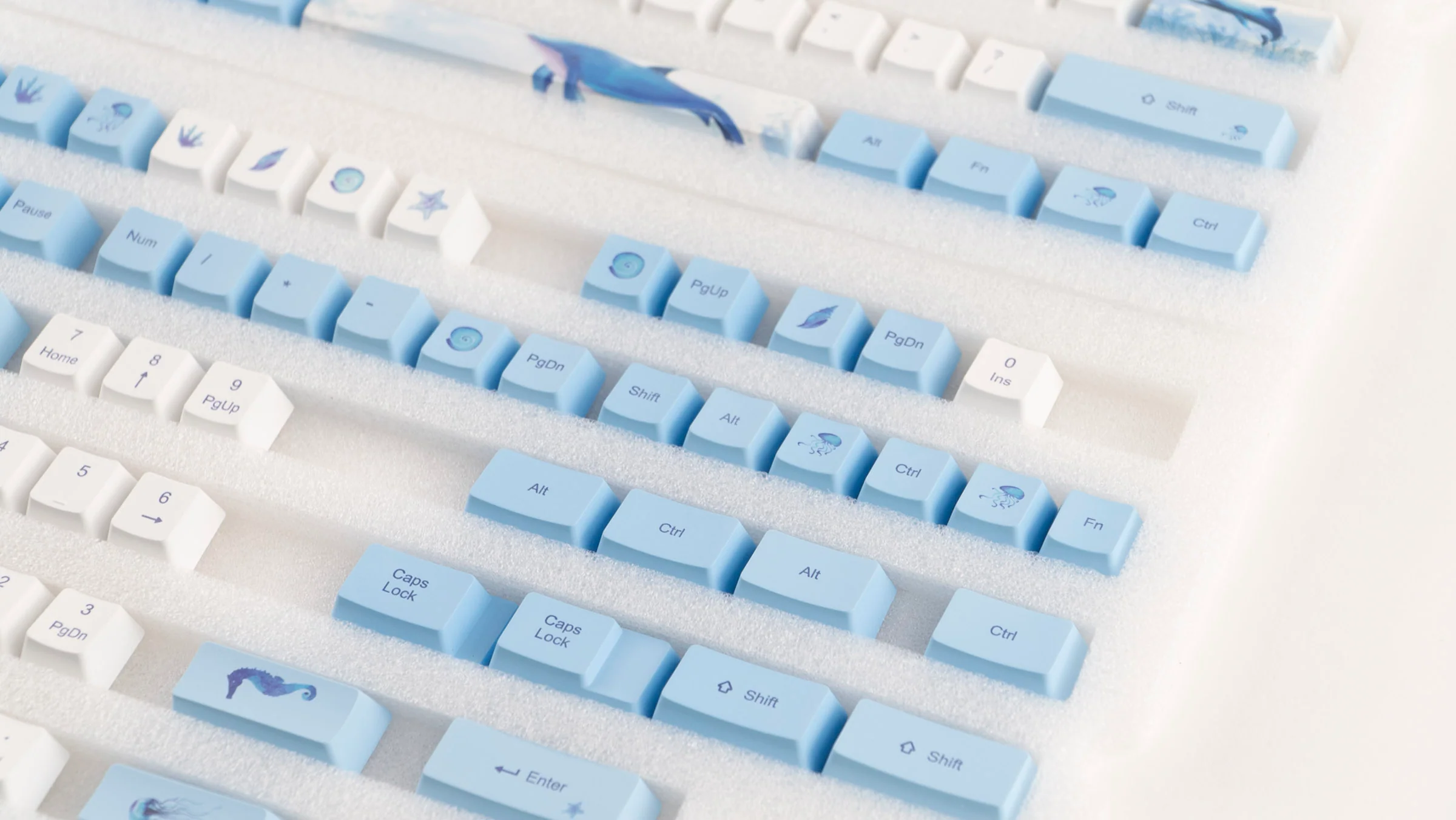 KBParadise Dolphin 113 Key OEM Profile Dye Sub PBT Keycap Set - Image 5