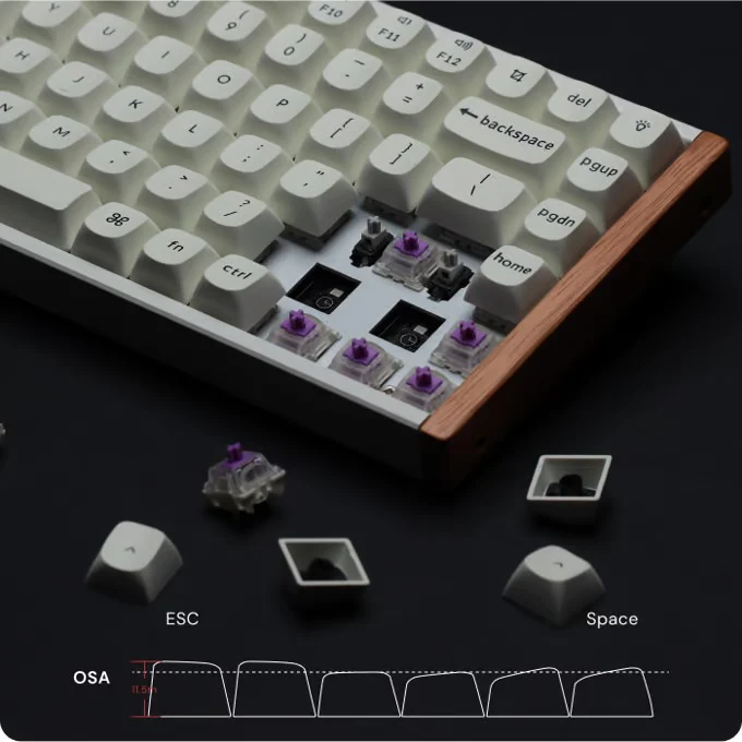 Keychron K2 HE TMR Special Edition 75% Wood Wireless Keyboard - Image 18