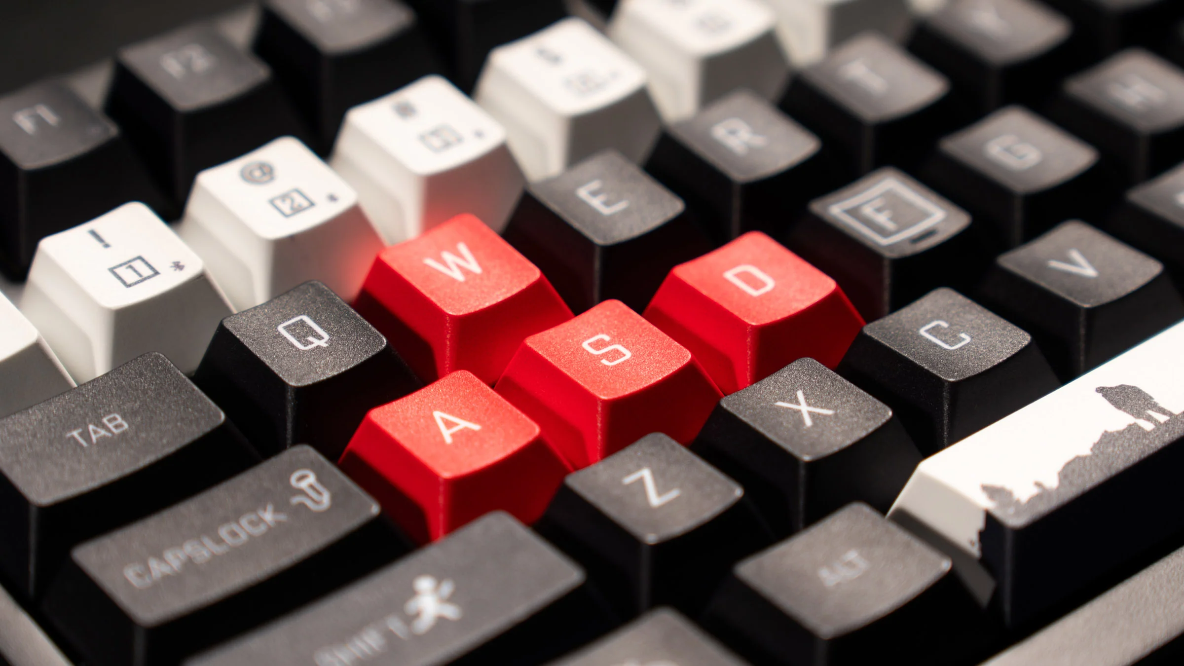 Keychron P1 HE TMR DayZ Special Edition Wireless RGB Keyboard - Image 7