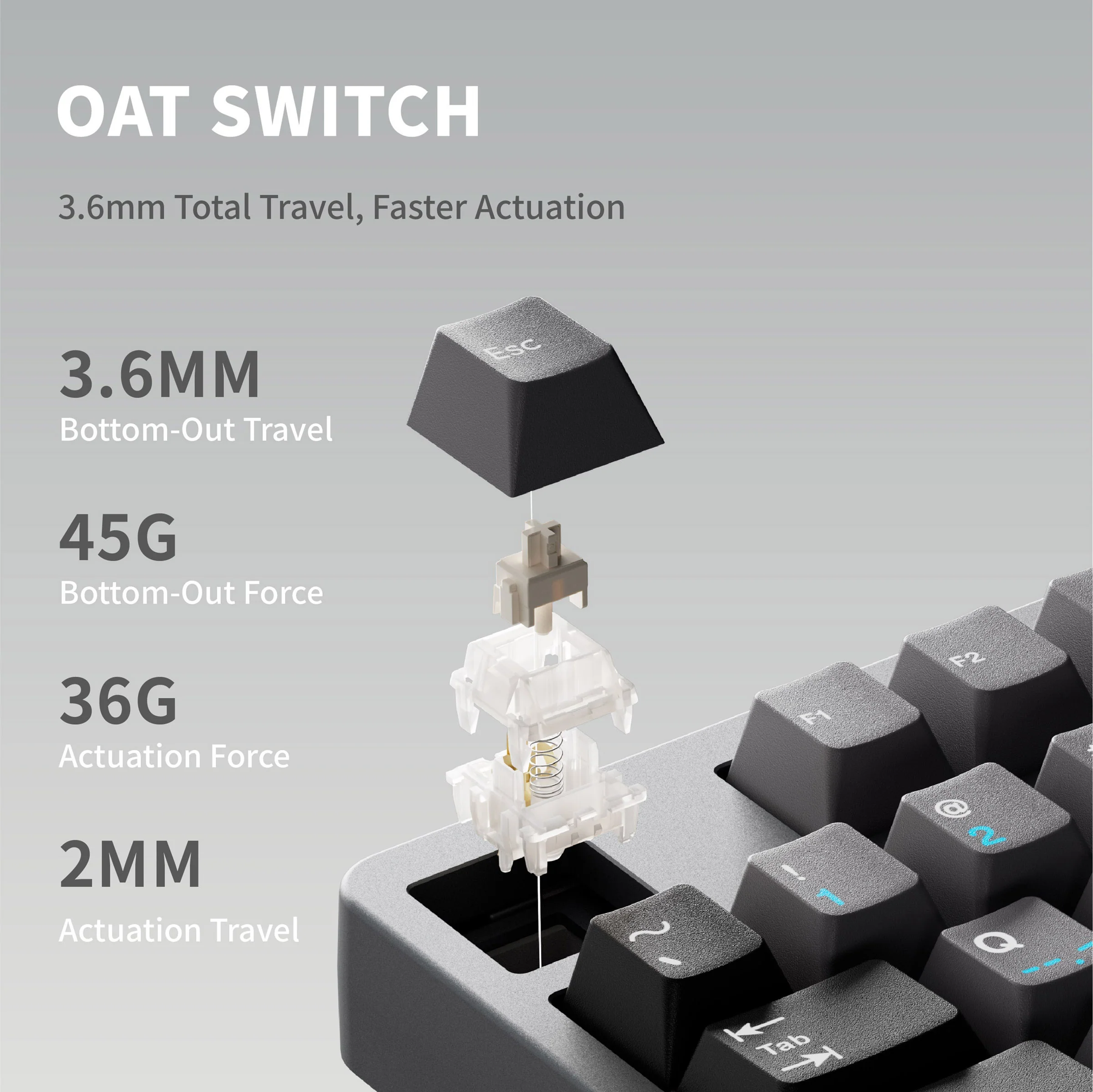 Qwertykeys QK80 Mk2 Aluminum Wireless Prebuilt Keyboard - Image 6