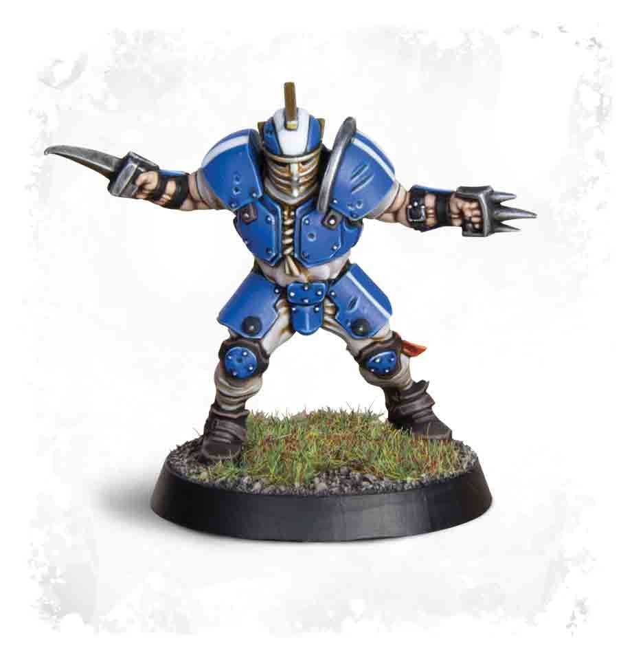 Human Blood Bowl Team - Reikland Reavers - Image 2