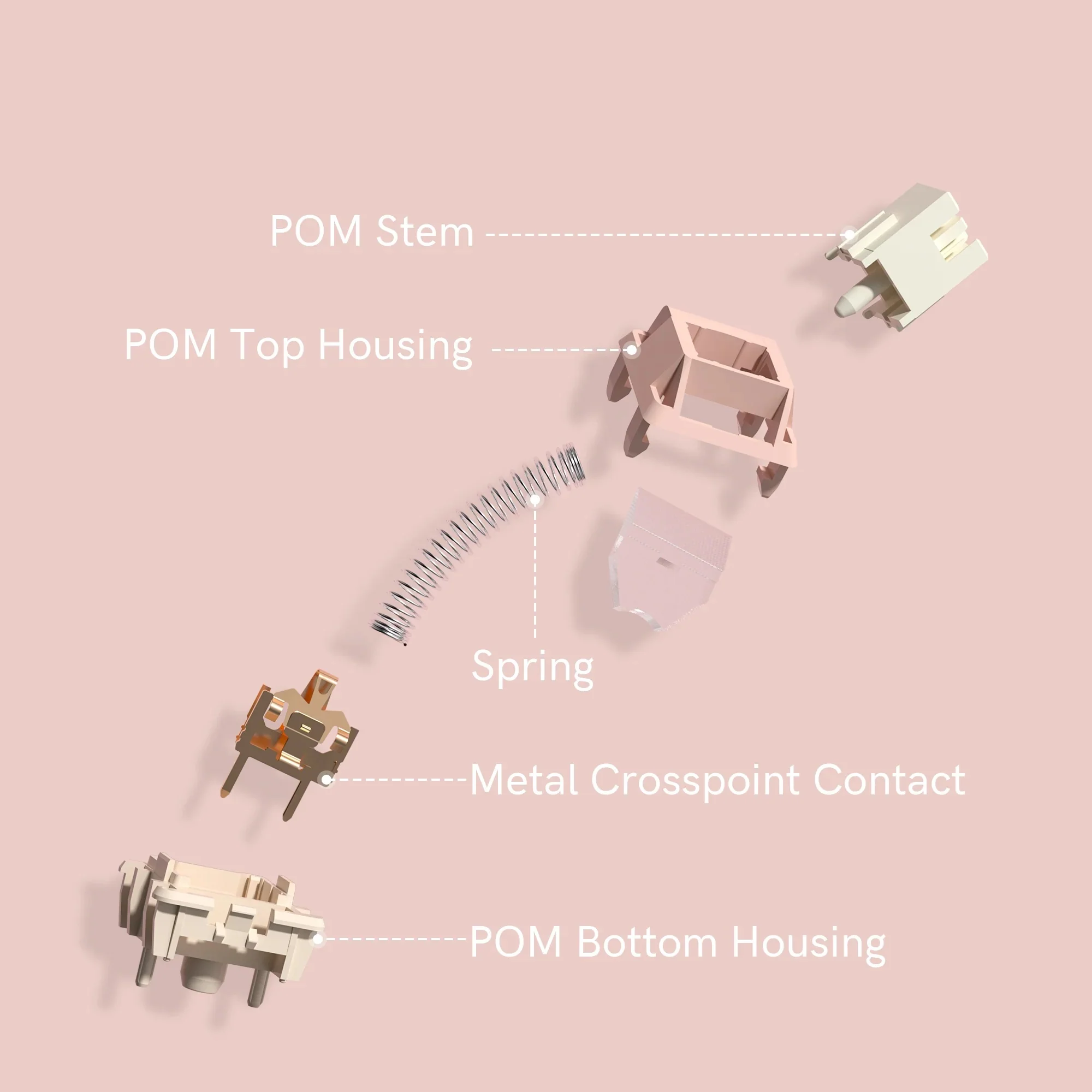 Womier Rose Whisper POM 42g Linear PCB Mount Switch - Image 4