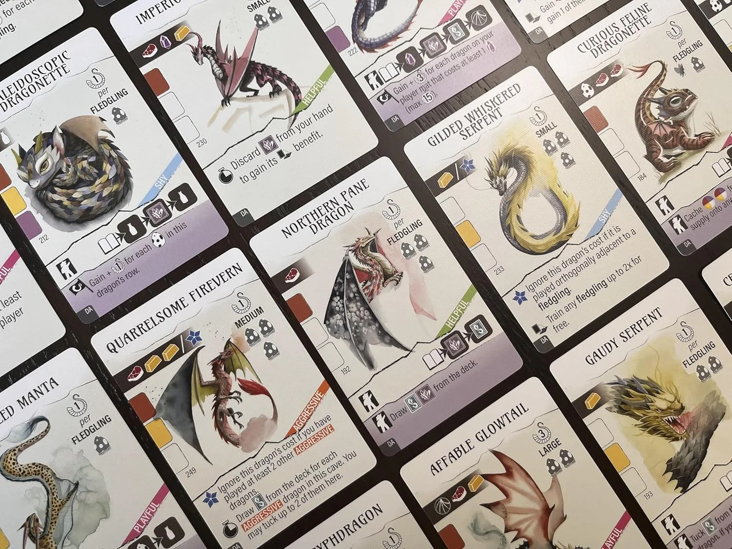 Wyrmspan : Dragon Academy Expansion - Image 5